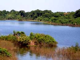 O Rio Guaporé é um dos mais belos da Amazônia